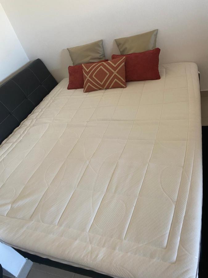 דירות פורטימאו Rocha House מראה חיצוני תמונה